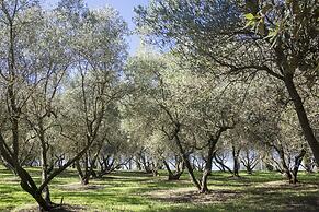 Fattoria il Milione Agriturismo