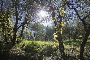 Fattoria il Milione Agriturismo