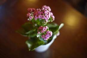 Antica Dimora Johlea - Antiche Dimore Fiorentine