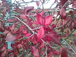 Antica Dimora Johlea - Antiche Dimore Fiorentine