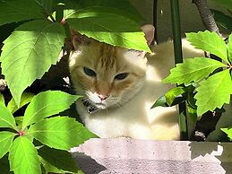 Hôtel Eden - La Baigneuse