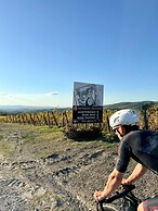 Fattoria di Corsignano