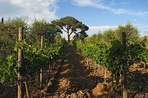 Fattoria di Corsignano