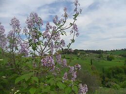 Fullino Nero