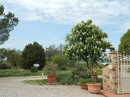 Fullino Nero