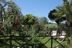 Hotel Tempio Di Apollo