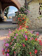 Il Colombaio Winery and Rooms