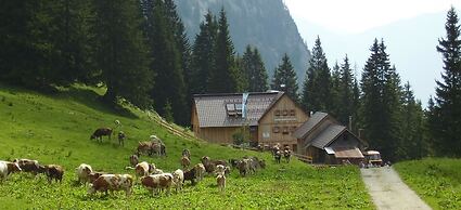 Hotel Tannenhof