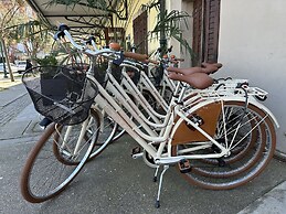 Alla Città di Trieste