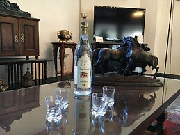 Hotel Minerva