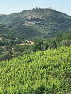 Re Artù Assisi Country Lifestyle