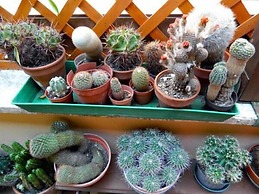 Abitazione Pigneto bed & breakfast