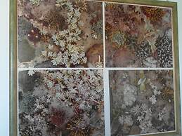 Abitazione Pigneto bed & breakfast