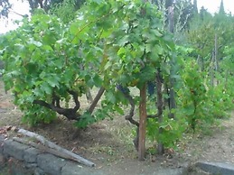 Il Vigneto - Bed & Breakfast