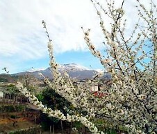 Il Vigneto - Bed & Breakfast