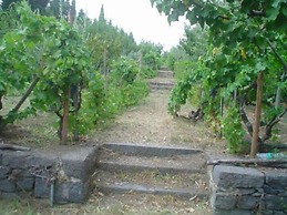Il Vigneto - Bed & Breakfast
