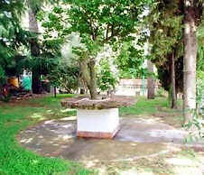 Il Vigneto - Bed & Breakfast