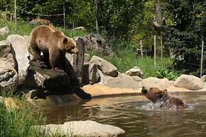 Hotel Savoia E Campana