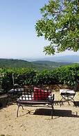 Podere Palazzolo
