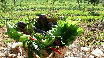 Hotel Sa Carrotja - Adults Only