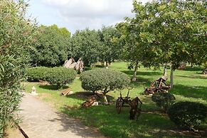 Hotel Sa Carrotja - Adults Only