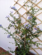 L'Approdo delle Sirene