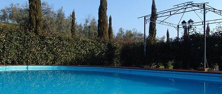 Il Piastrino