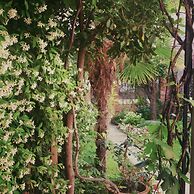 3749 Ponte Chiodo Guest House