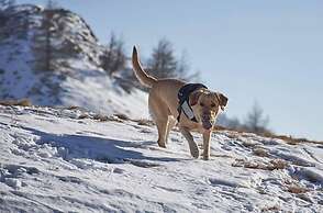 Villa Belvedere Hotel