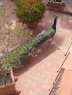 Agriturismo Il Colombaiolo