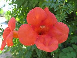 Agriturismo Il Colombaiolo