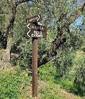 Grand Hotel Diana Majestic