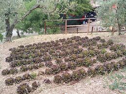 Agriturismo Al Poggetto