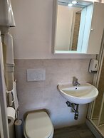 Il Grillo di Firenze