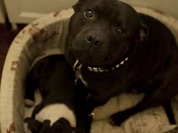 Le Suite di Via Ottaviano