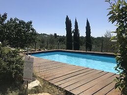 Il Pettirosso di Siena