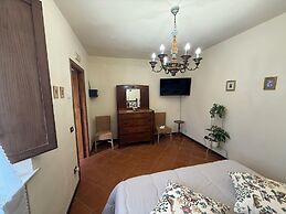 Il Pettirosso di Siena
