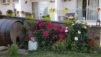 Solar dos Marcos Rural Accommodation