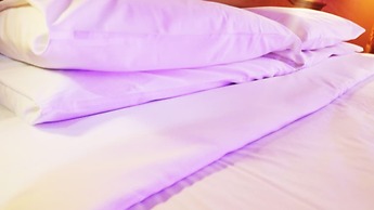 Guest House Masterintrastevere