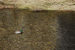 Hotel Los Acebos Cangas