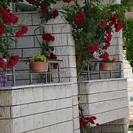 Hotel Hal - Tur