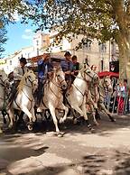 Le Cheval Blanc