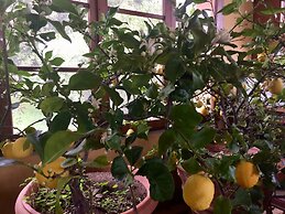 Agriturismo La Palazzina