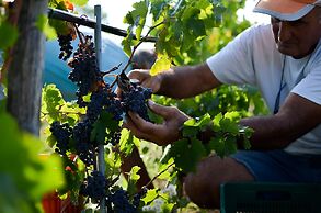 Cortona Resort - Le Terre Dei Cavalieri