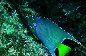 Hotel Residencia del Paseo