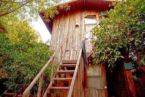 Bayrams Tree Houses