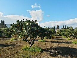 Hotel Domu Incantada