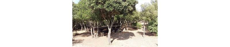 Hotel Domu Incantada