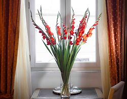 Casa de' Fiori Biscione