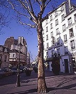 Hotel Regyn's Montmartre